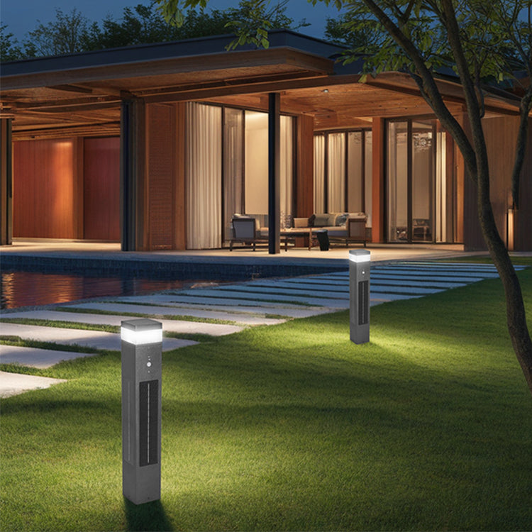 Solar Lawn Light