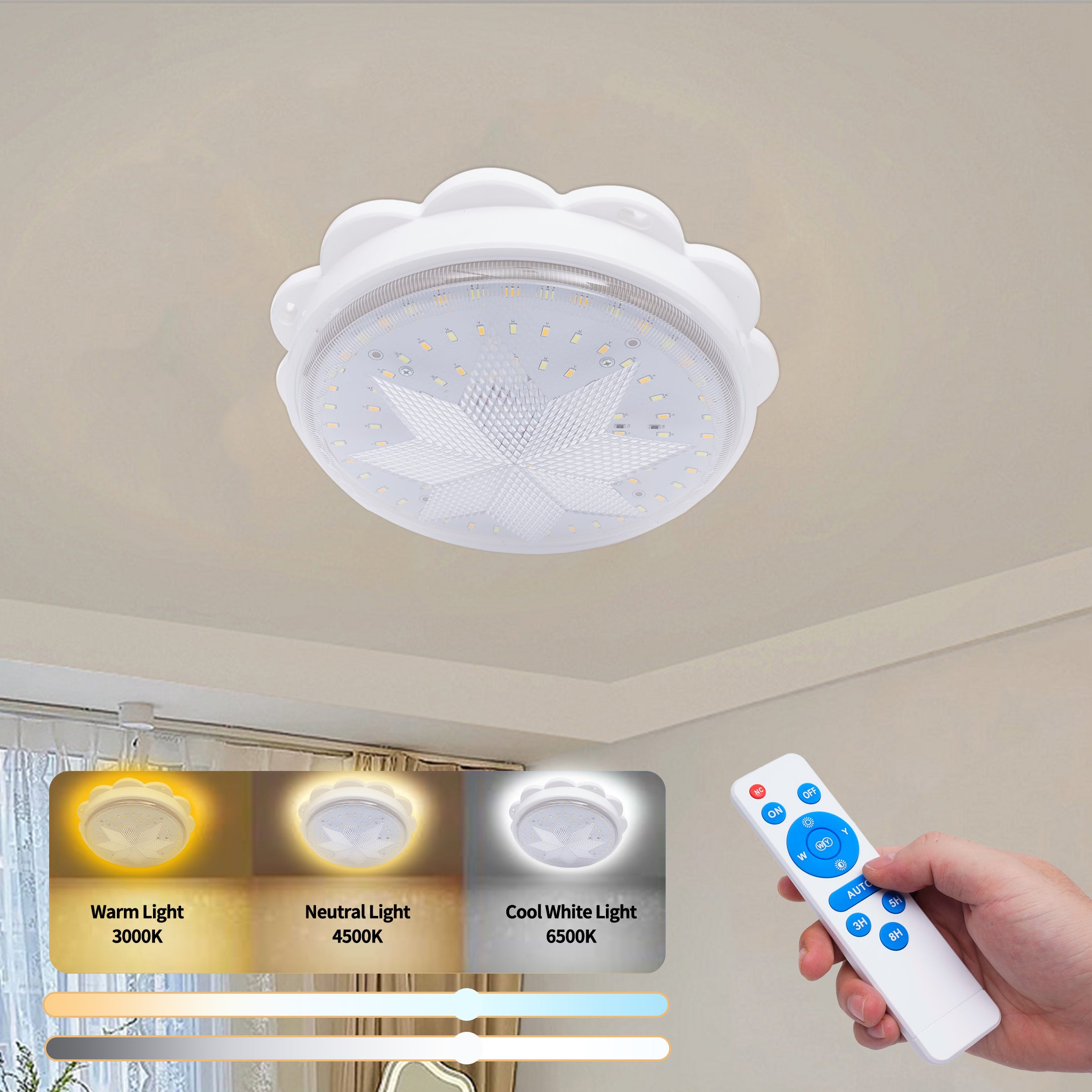 Solar Ceiling Light